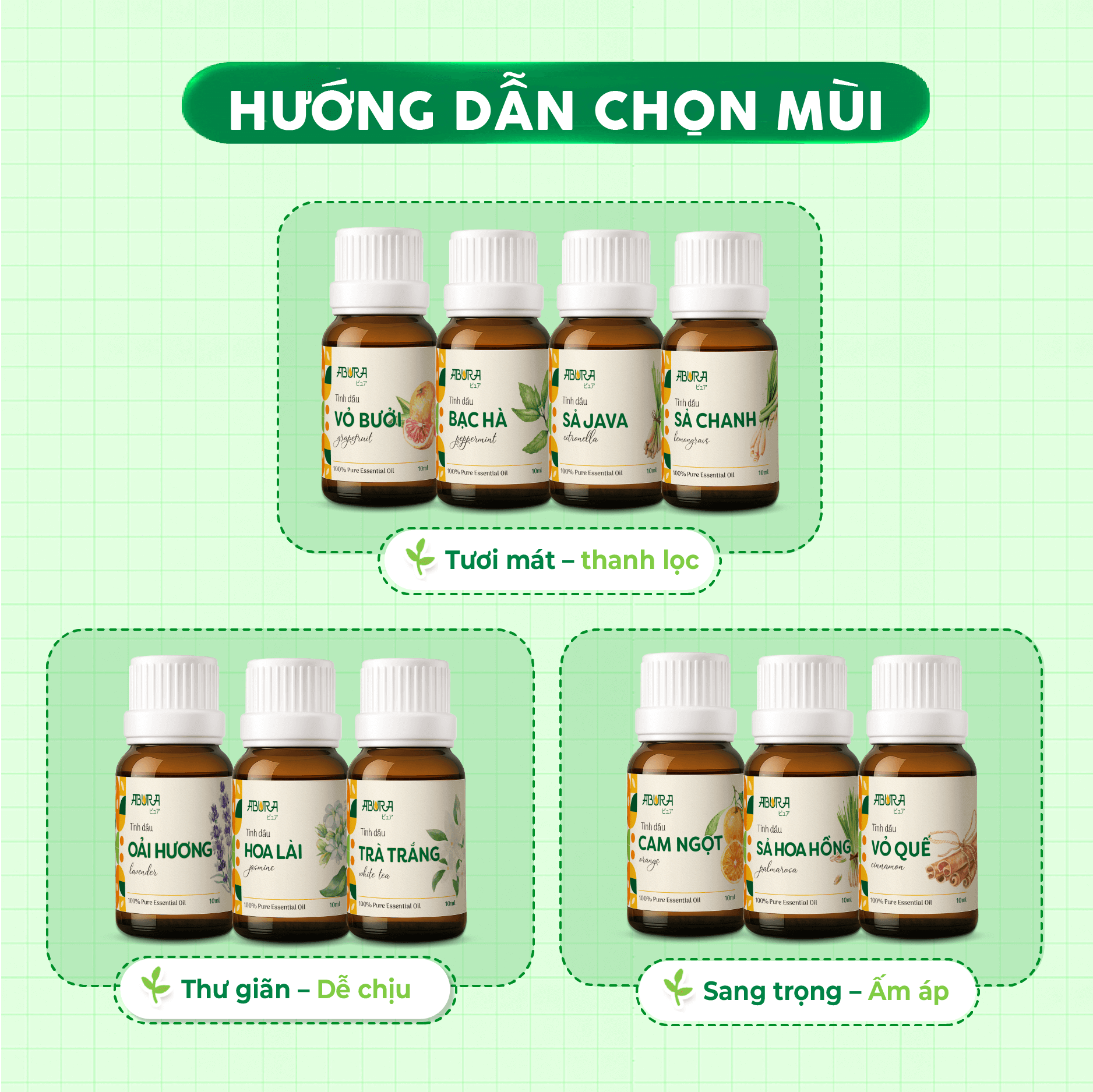 huong-dan-chon-mui huong-dan-chon-mui