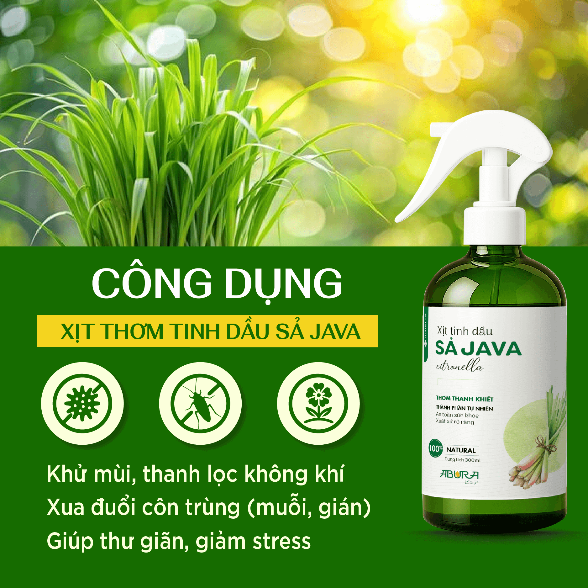 Công Dụng Của Tinh Dầu Xịt Thơm Sả Java Công Dụng Của Tinh Dầu Xịt Thơm Sả Java