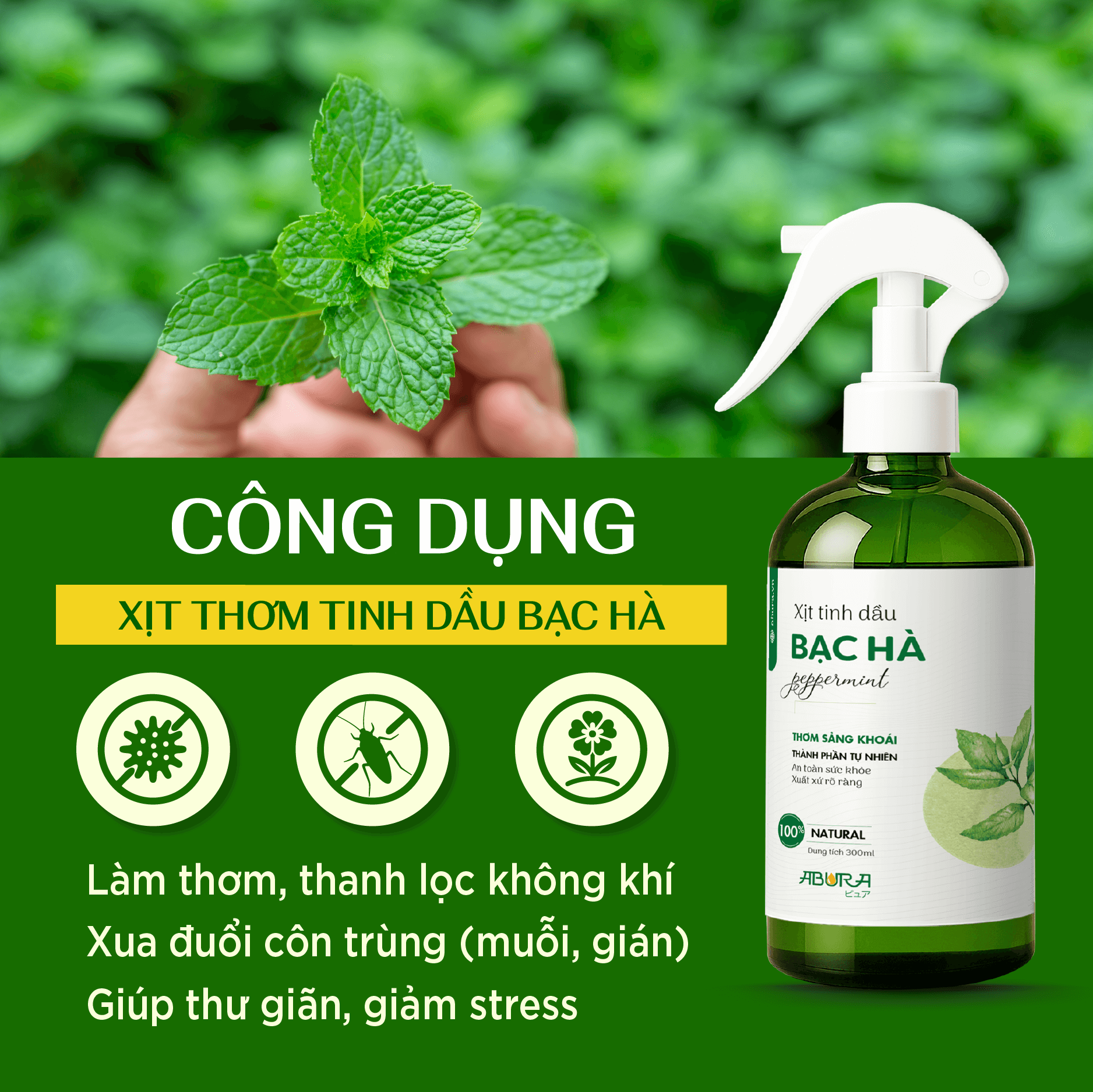 Công dụng của tinh dầu xịt thơm Bạc Hà ABURA Công dụng của tinh dầu xịt thơm Bạc Hà ABURA