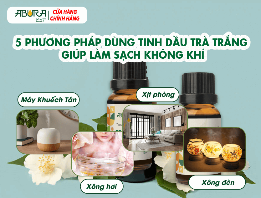 5 phương pháp dùng tinh dầu trà trắng giúp làm sạch không khí