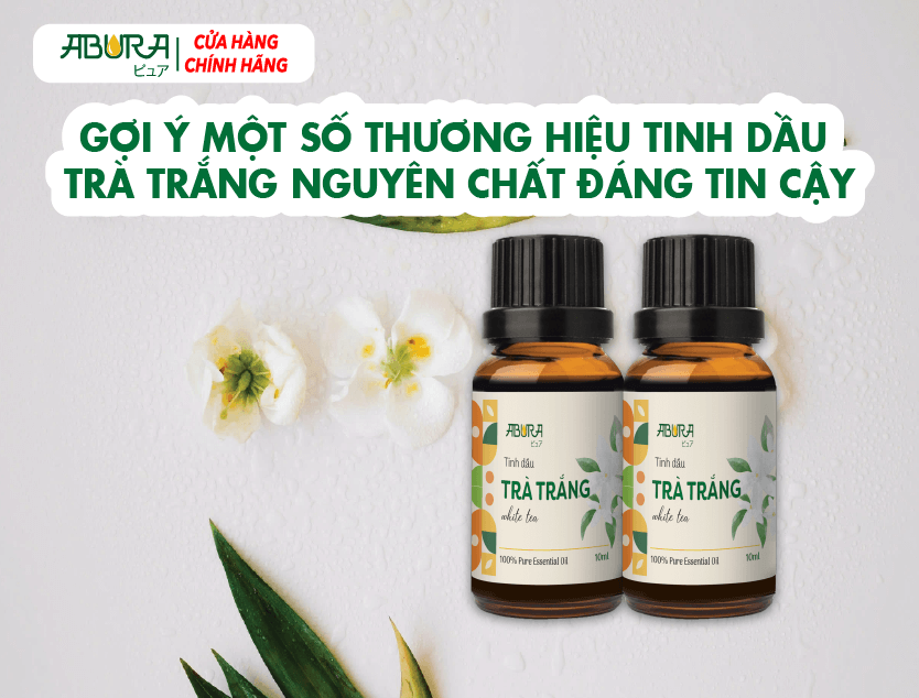 Gợi ý một số thương hiệu tinh dầu trà trắng nguyên chát đáng tin cậy