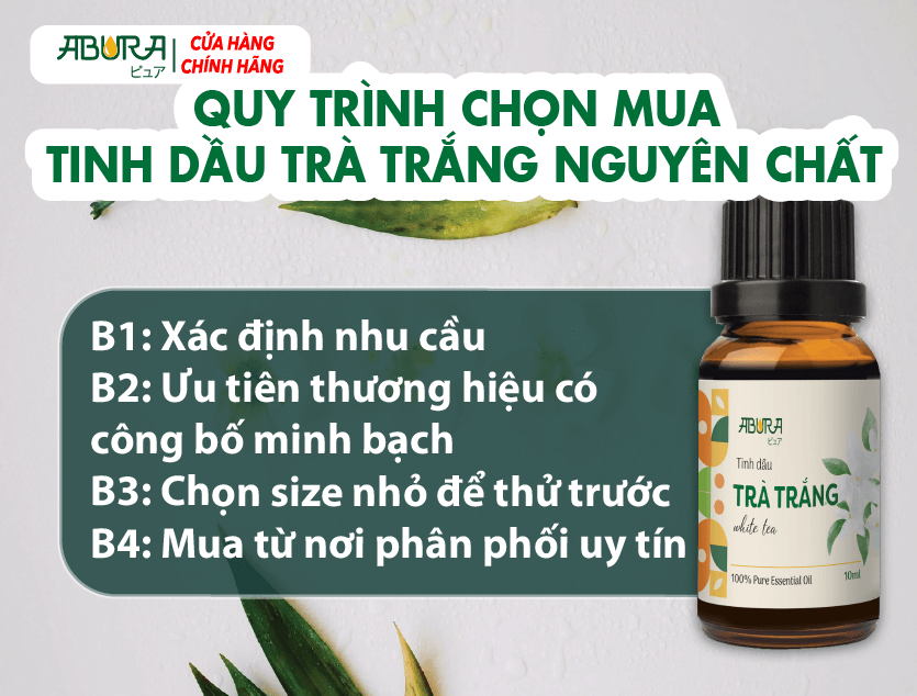Quy trình chọn mua tinh dầu trà trắng nguyên chất