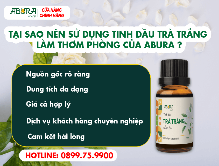 Tại sao nên sử dụng tinh dầu trà trắng làm thơm phòng của Abura