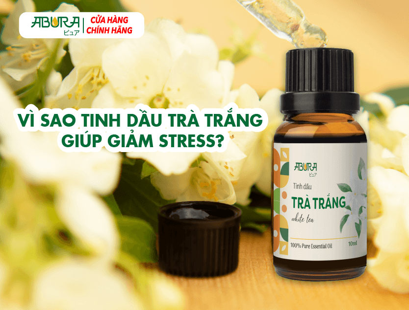 Vì sao tinh dầu trà trắng giảm stress