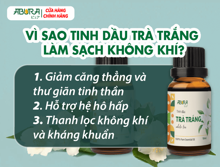 Vì sao tinh dầu Trà Trắng làm sạch không khí