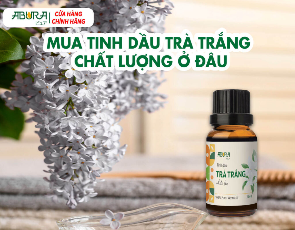 Mua Tinh Dầu Trà Trắng Chất Lượng Ở Đâu