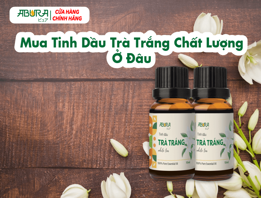 Mua Tinh Dầu Trà Trắng Chất Lượng Ở Đâu