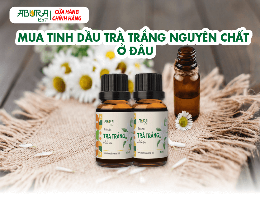 Mua tinh dầu trà trắng nguyên chất ở đâu