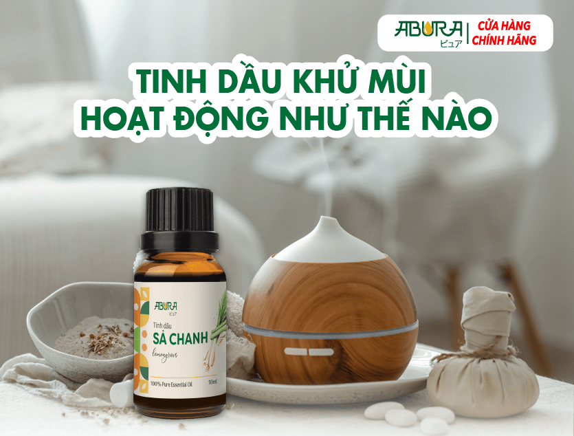 Tinh Dầu Khử Mùi Hoạt Động Như Thế Nào