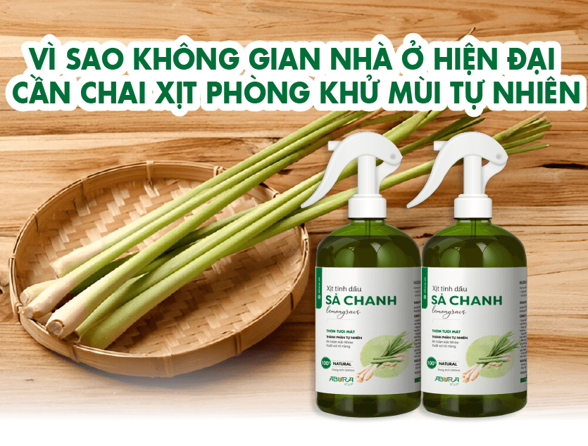 Vì Sao Không Gian Nhà Ở Hiện Đại Cần Chai Xịt Phòng Khử Mùi Tự Nhiên