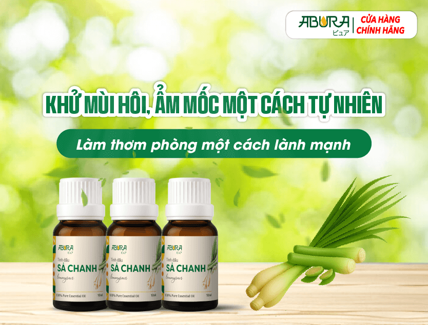 Khử mùi hôi ẩm mốc tự nhiên làm thơm phòng một cách lành mạnh