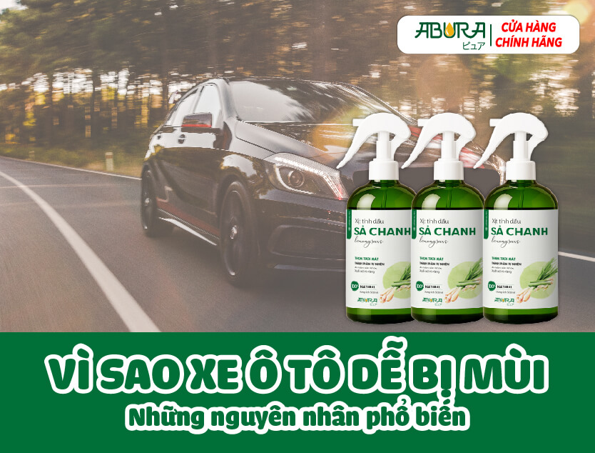 Vì sao xe ô tô dễ bị mùi - Những nguyên nhân phổ biến