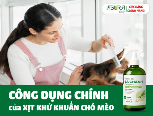 Công dụng chính xịt khử khuẩn chó mèo