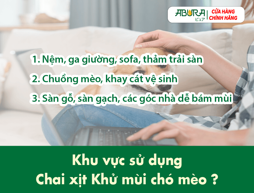 Khu Vực Sử Dụng Xịt Khử Mùi Nước Tiểu Mèo