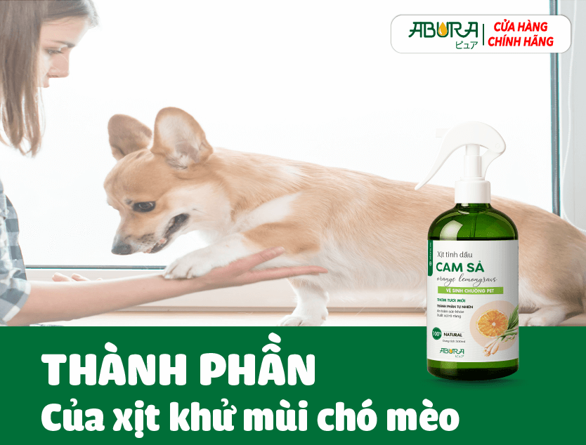 Thành Phần Chính Của Xịt Khử Mùi Nước Tiểu Mèo