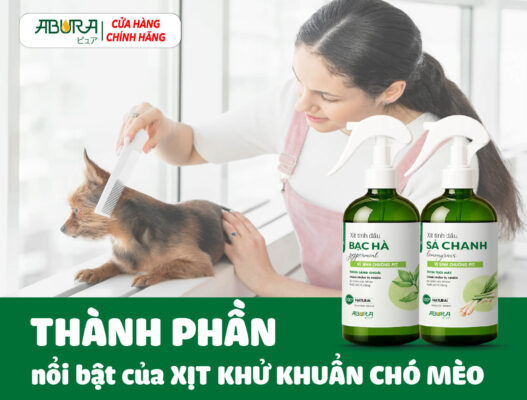 Thành phần nổi bật xịt khử khuẩn chó mèo