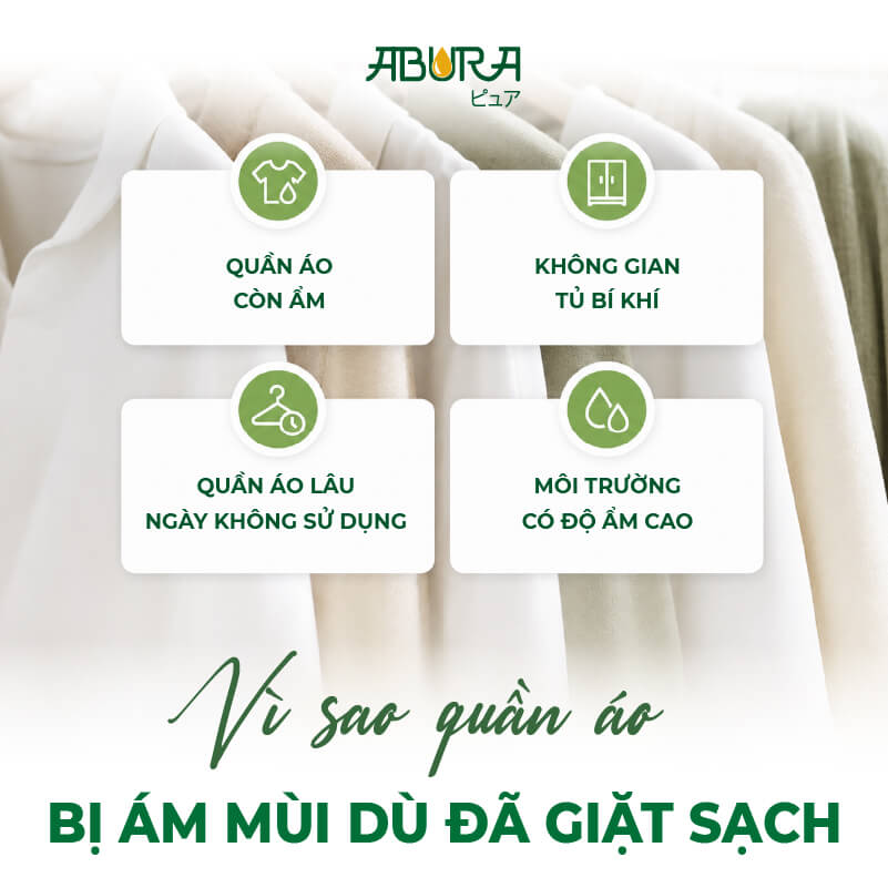 Nguyên nhân khiến quần áo bị ám mùi trong tủ quần áo dù đã được giặt sạch